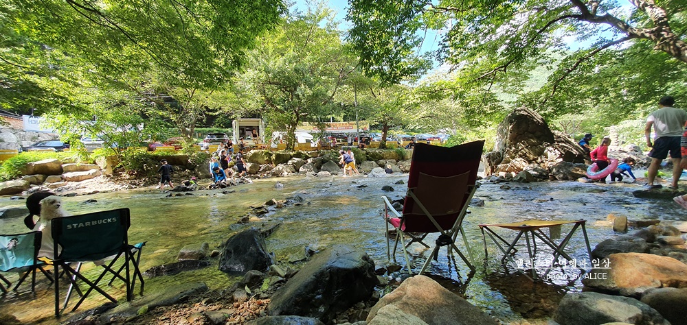 여름 여행 시원한 부산 근교 가볼만한곳 추천 당일치기