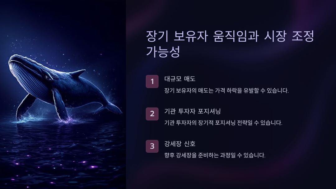 장기 보유자의 움직임과 시장 영향