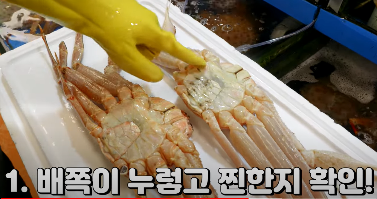 대게고르는법