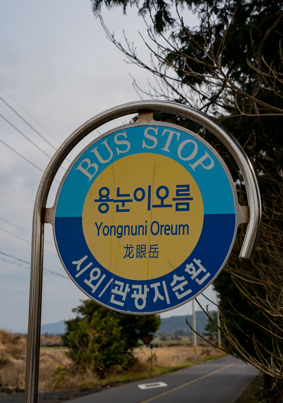 용눈이 오름 도로