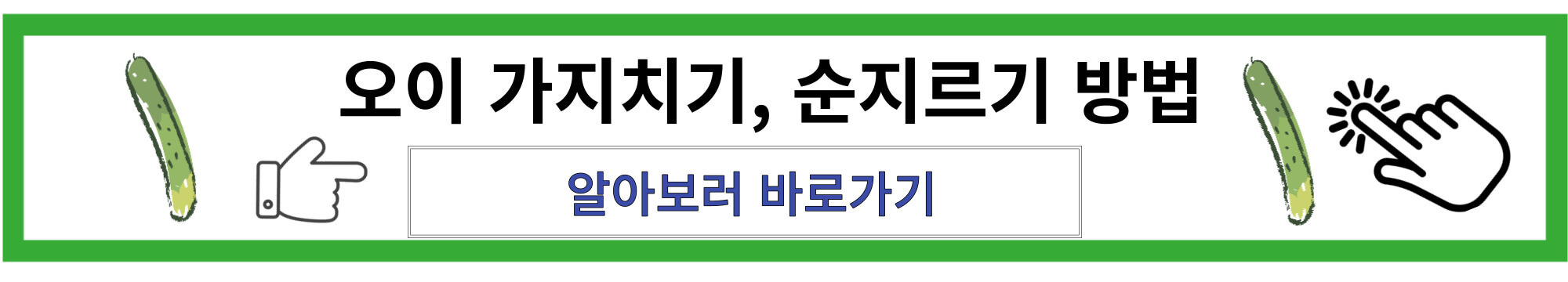 오이가지치기 순지르기 방법