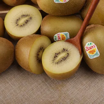 골드키위 효능 부작용_24