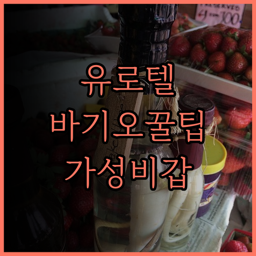 유로텔 바기오 후기 바기오 여행의 완