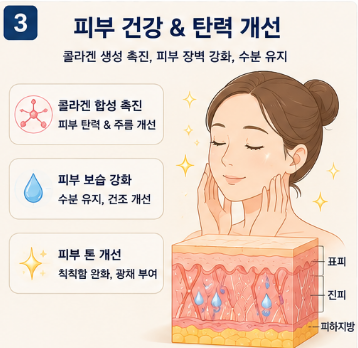 비타민b3-효능-나이아신-음식-영양제-추천