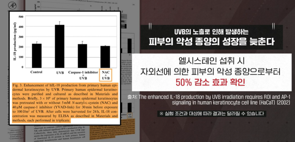 엘시스테인 효능