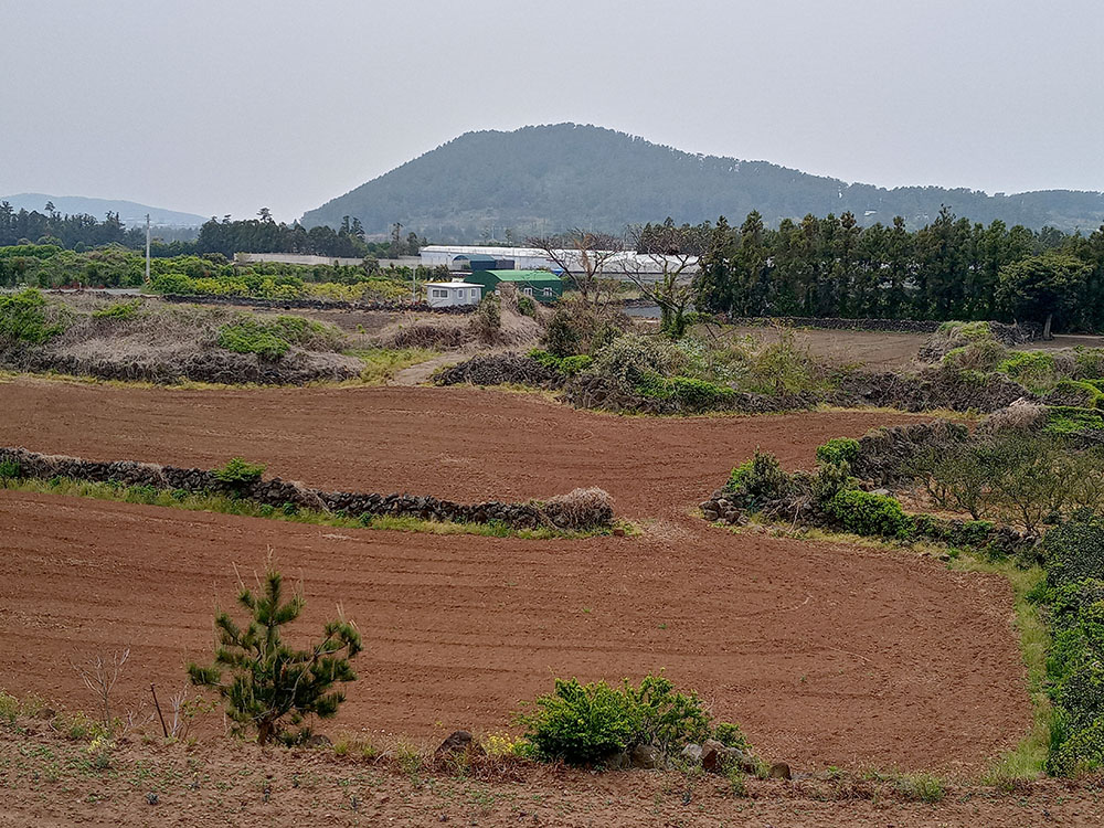 올레15A코스: 고내포구에서 한림항까지
