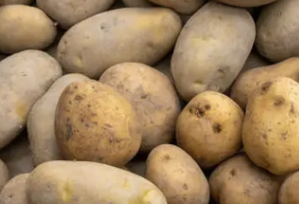 대장내시경 전 음식주의사항 32