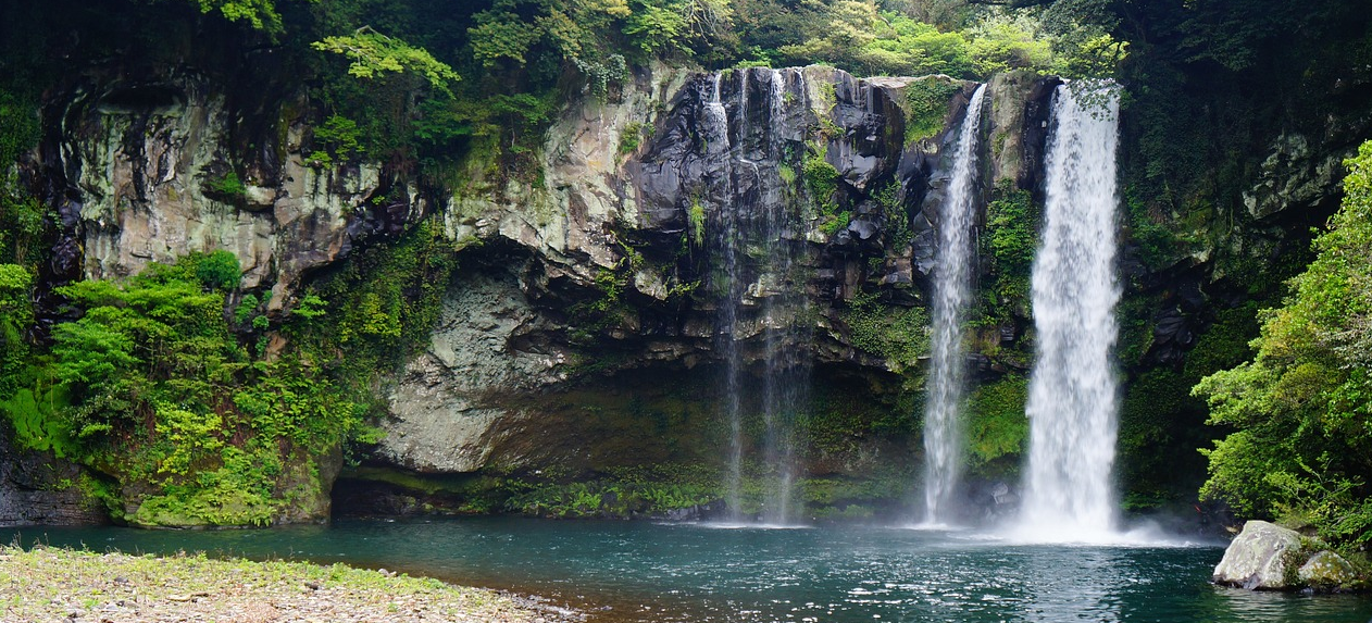 제주 천지연 폭포