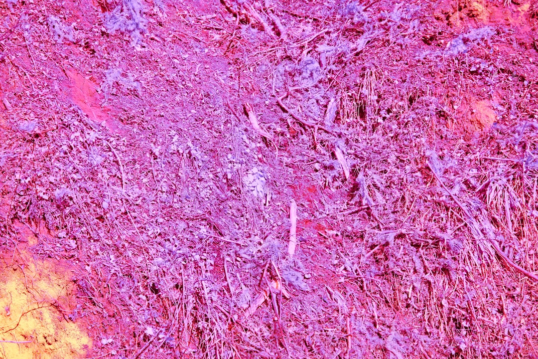 Neuroblastoma