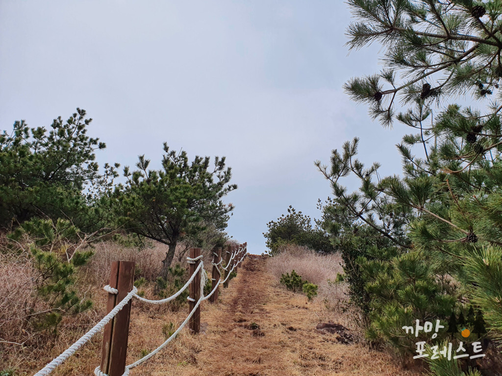 높은 오름 정상직전