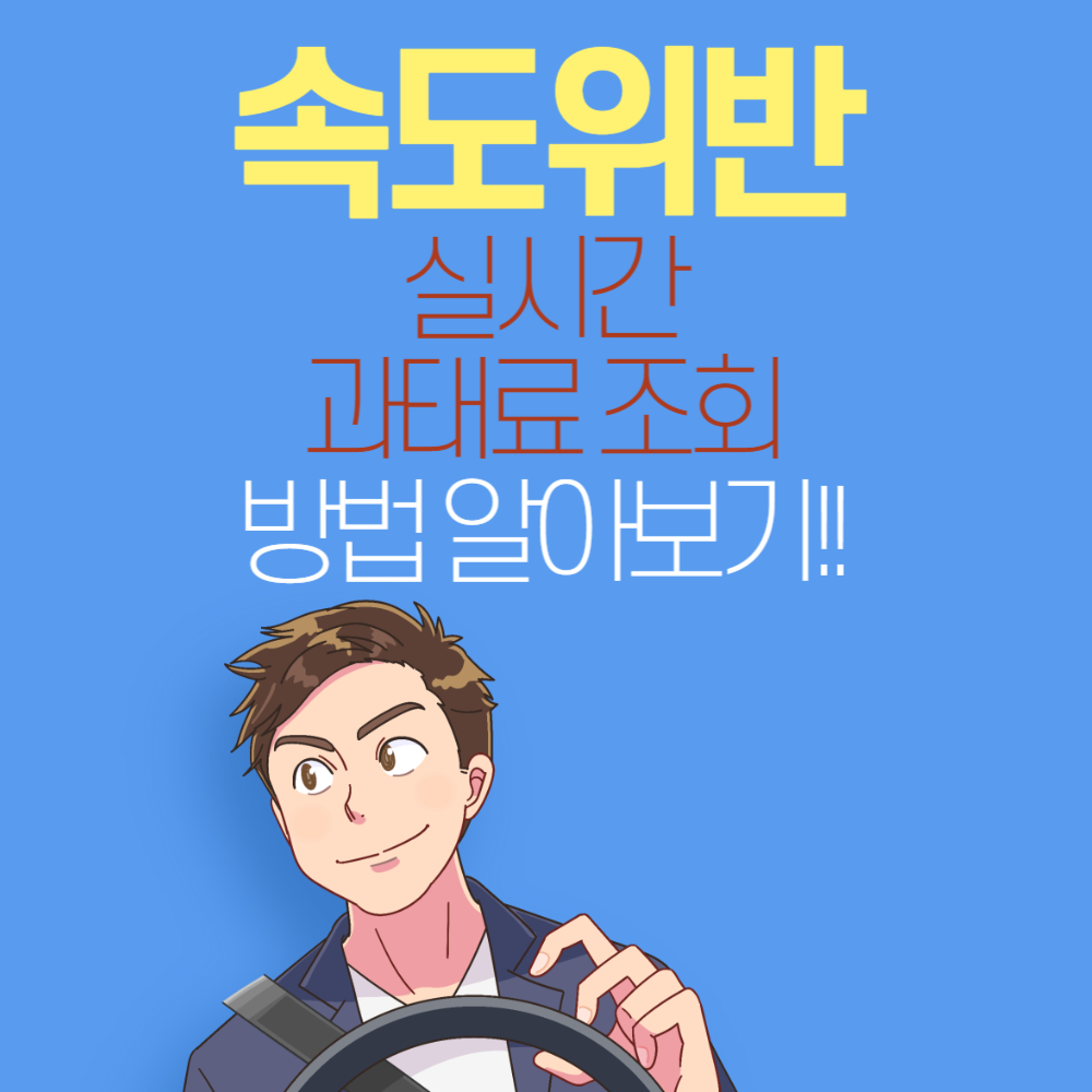 속도위반 실시간 조회하는 방법