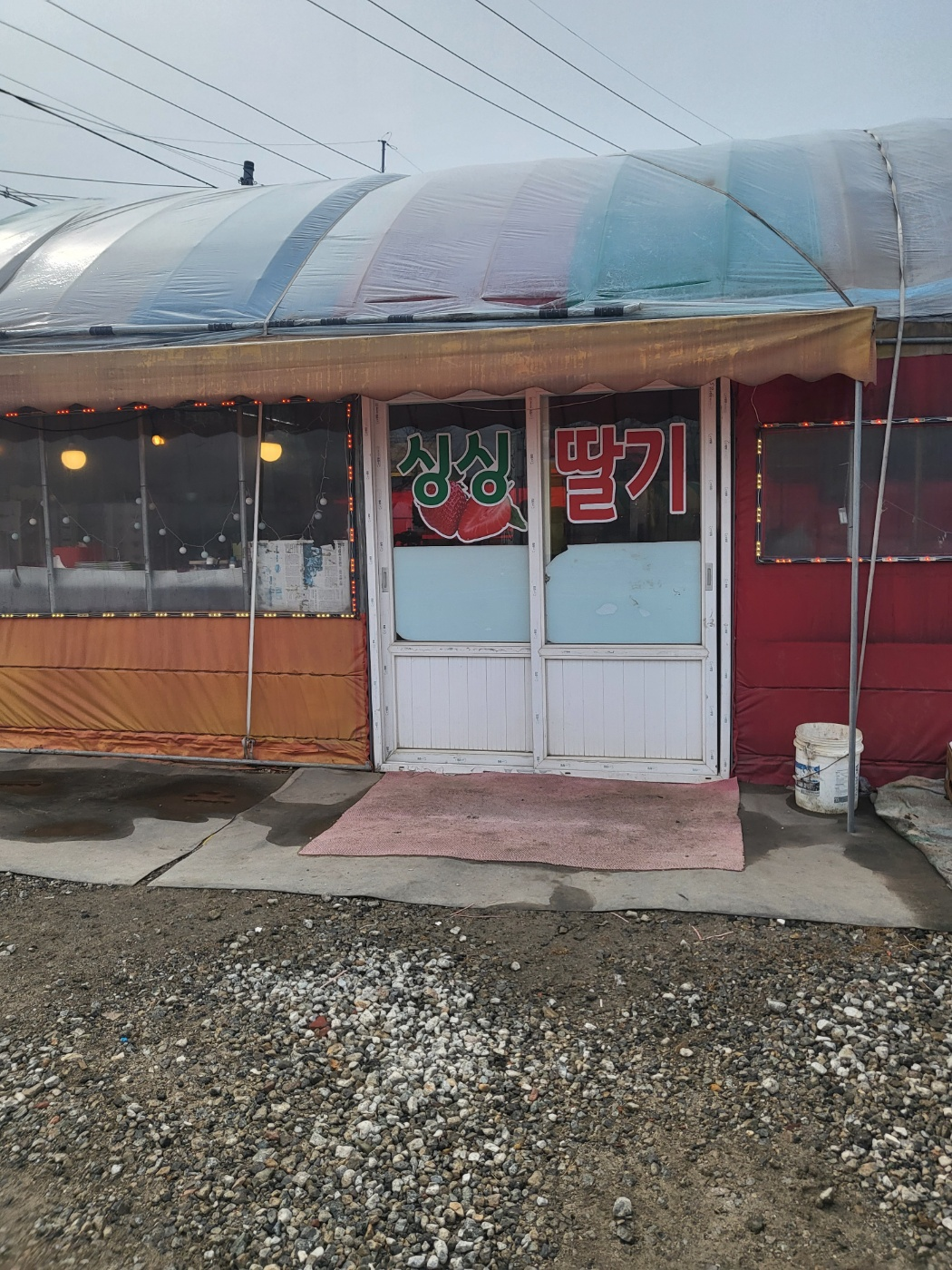 청주딸기, 남일면 가산리 딸기 (싱싱딸기)