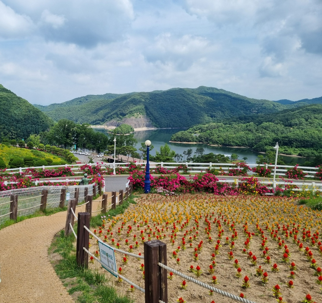 증평벨포레사진