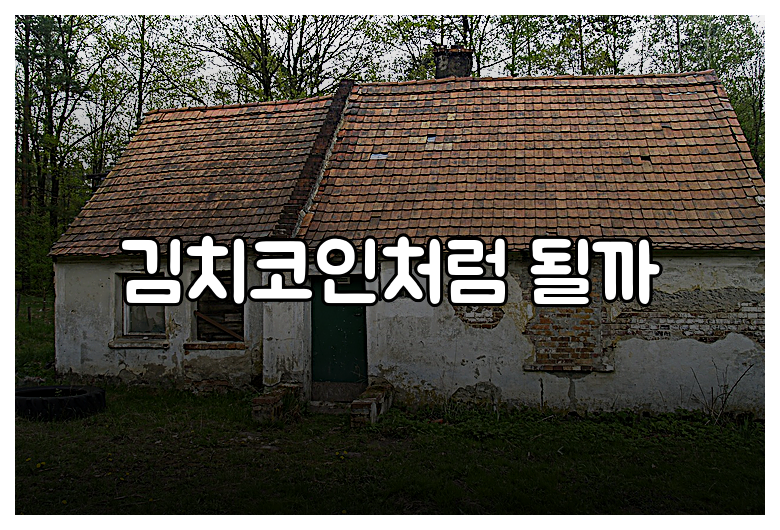 김치코인처럼 될까