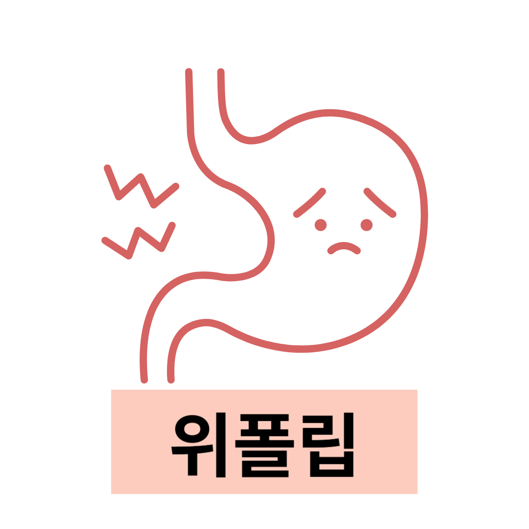 위폴립과 관련된 사진입니다.