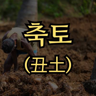 축토(丑土) 지지