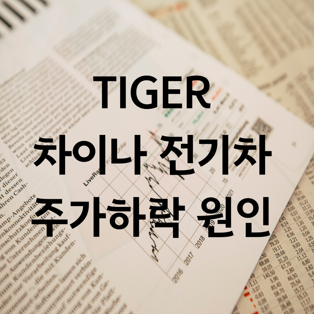 TIGER 차이나 전기차 ETF