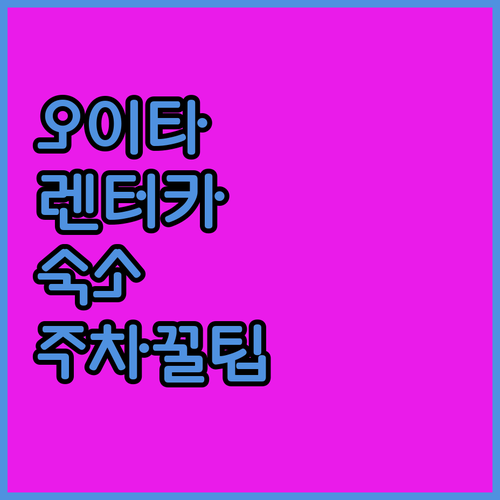 오이타 렌터카 여행 숙소 추천 쓰루사..