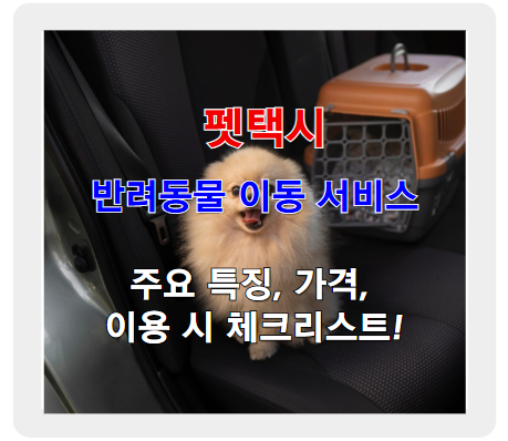 펫택시, 반려동물 이동 가격 등 고민 해결 가이드