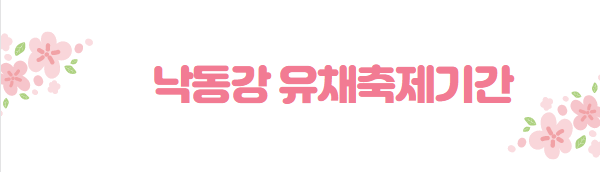 봄꽃 여행지