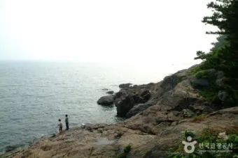 보령 월전리 죽도 상화원 가는법_11