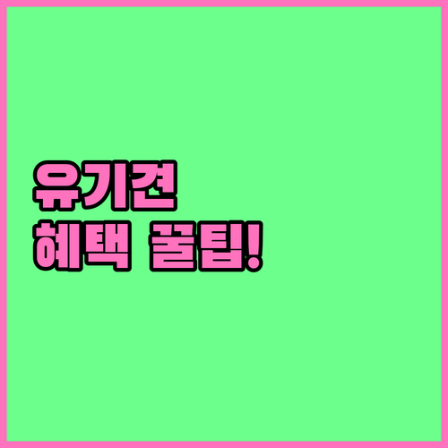 유기견 입양 보험료 할인 및 지원 혜..