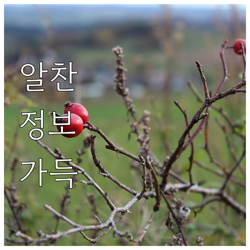 ESTA 수수료 2배 인상 확정 미국..