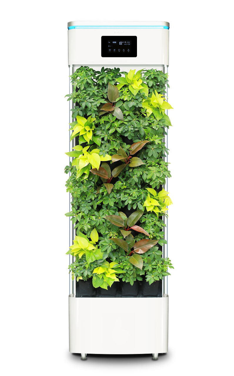 공기청정기와 관련된 사진