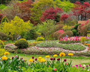 5월에 방문하는 축제 BEST 7