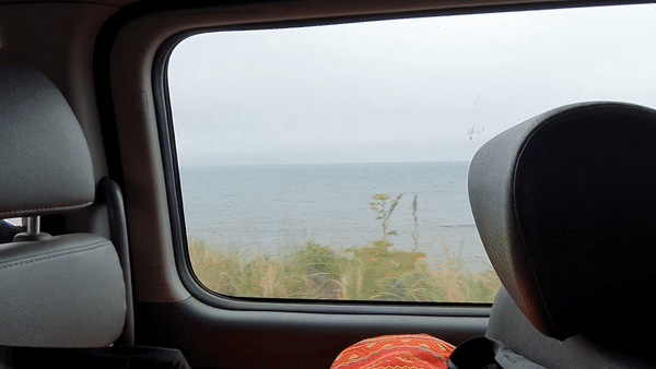 오소소 게스트하우스 돌고래 투어