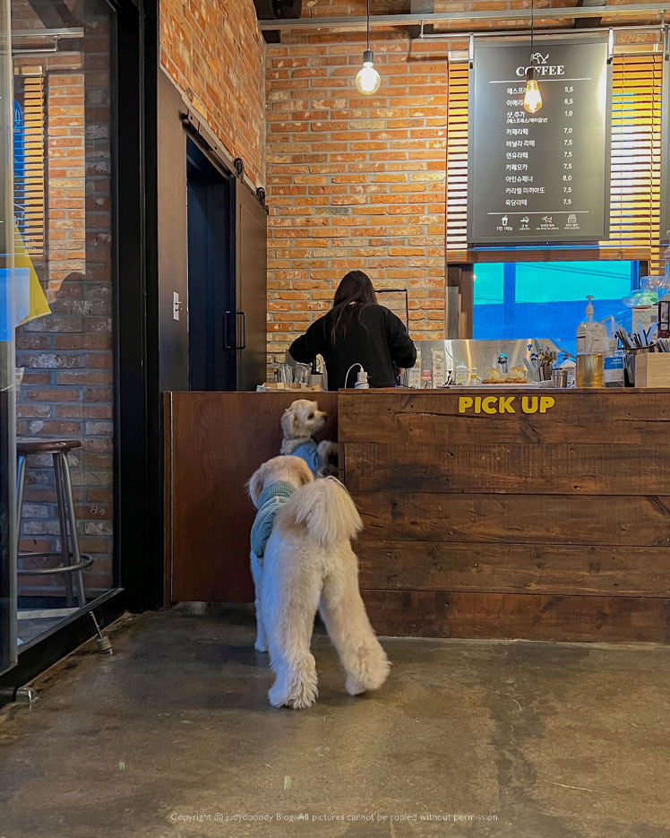 봄날 가기 좋은 잔디마당 카페, 파주애견동반카페