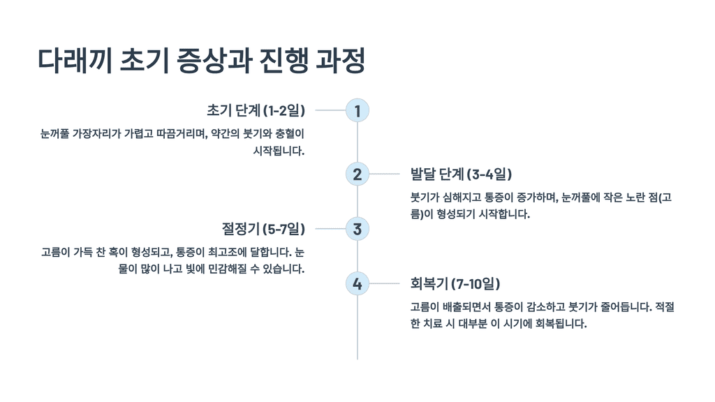 다래끼 초기 증상과 진행 과정