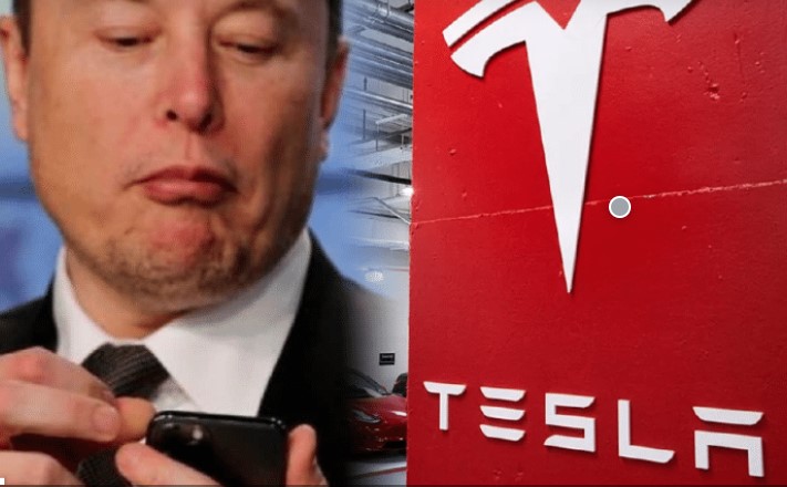테슬라 CEO일론머스크와 테슬라 로고