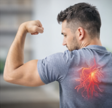 대마 종자유 효능