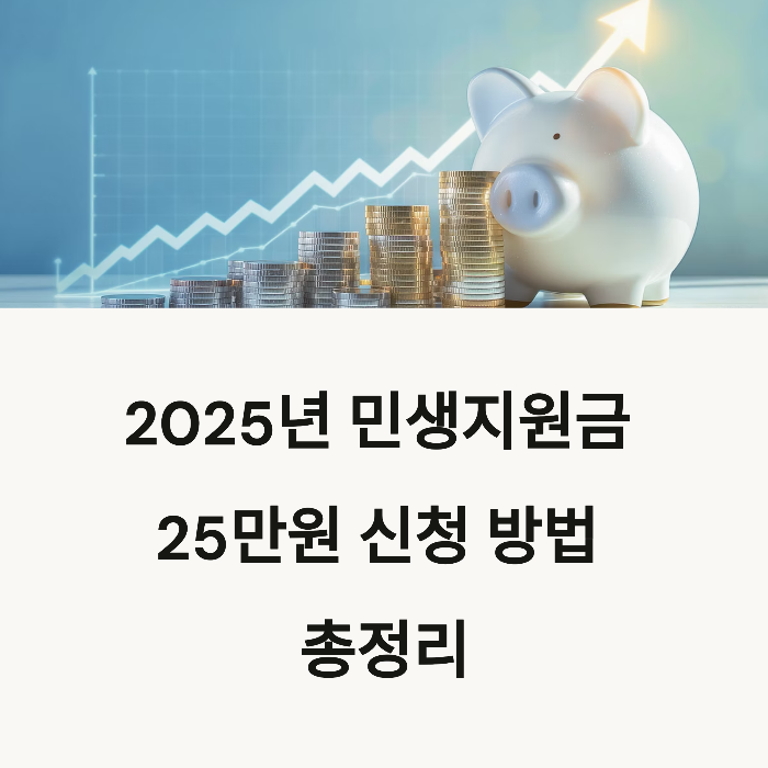 민생지원금 25만원