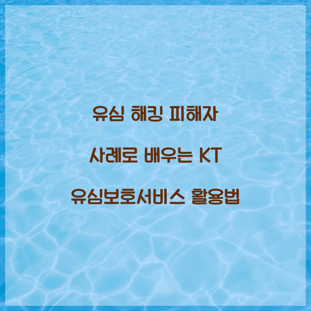 유심 해킹 피해자 사례로 배우는 KT 유심보호서비스 중요성