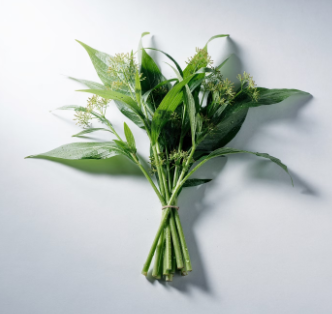 비염에 좋은 음식