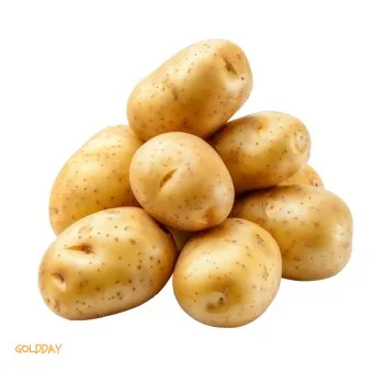 nv_감자 삶는 방법 샐러드 레시피_15