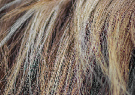 비타민d 부족증상 23