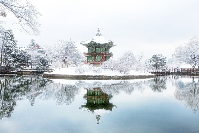 경복궁 별빛야행