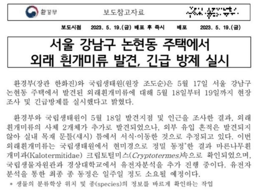 서울 강남 논현 충남 아산 흰개미 발견 여왕 유시충 퇴치 불가 바퀴벌레 문화재 여름