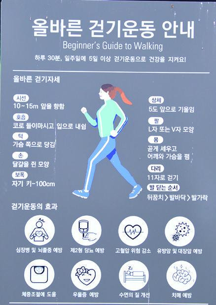살 안 찌는 체질 만드는 습관