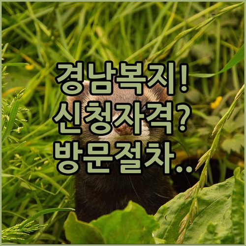 경상남도 찾아가는 복지 서비스 신청 ..