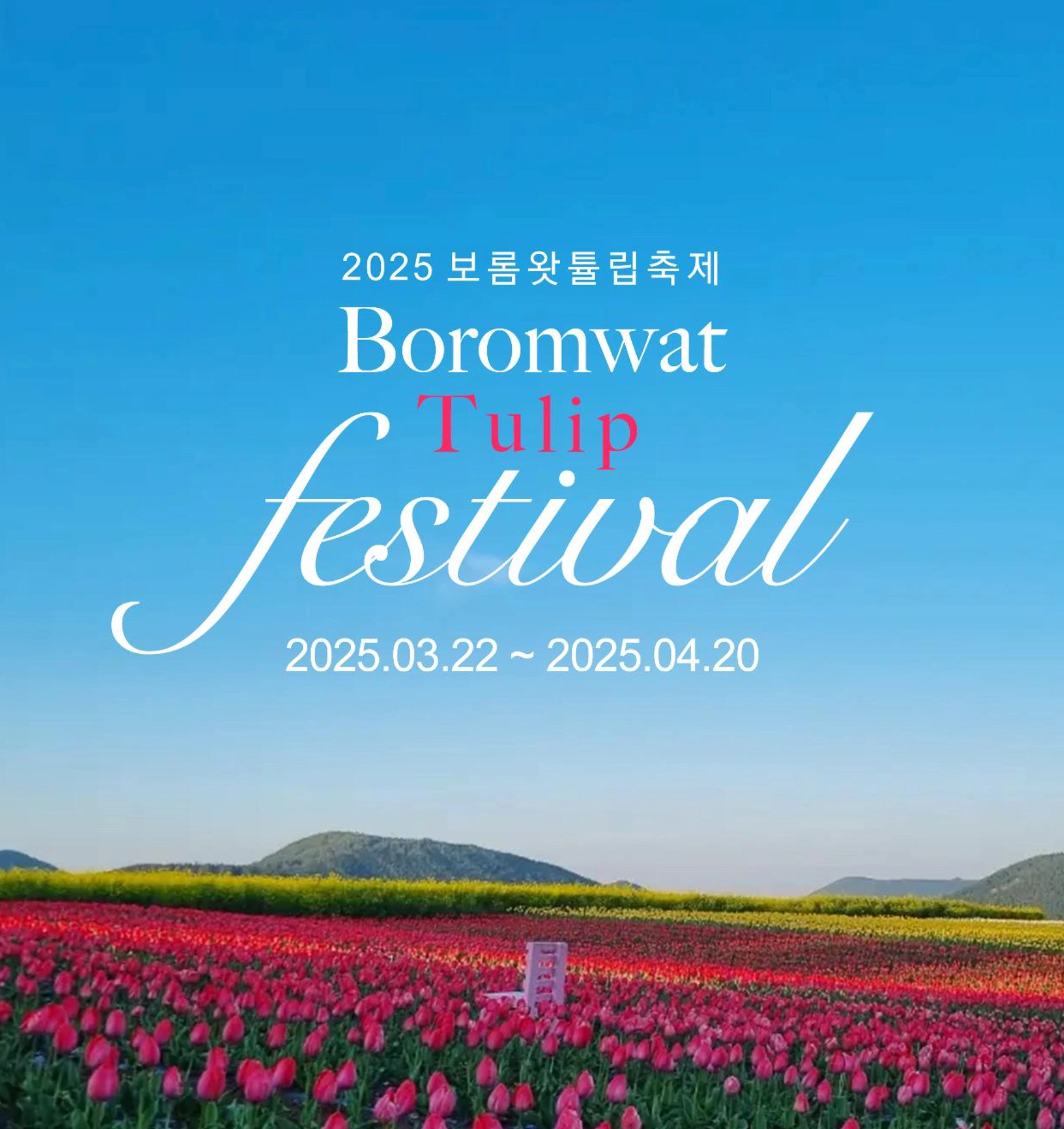 제주도 4월 축제