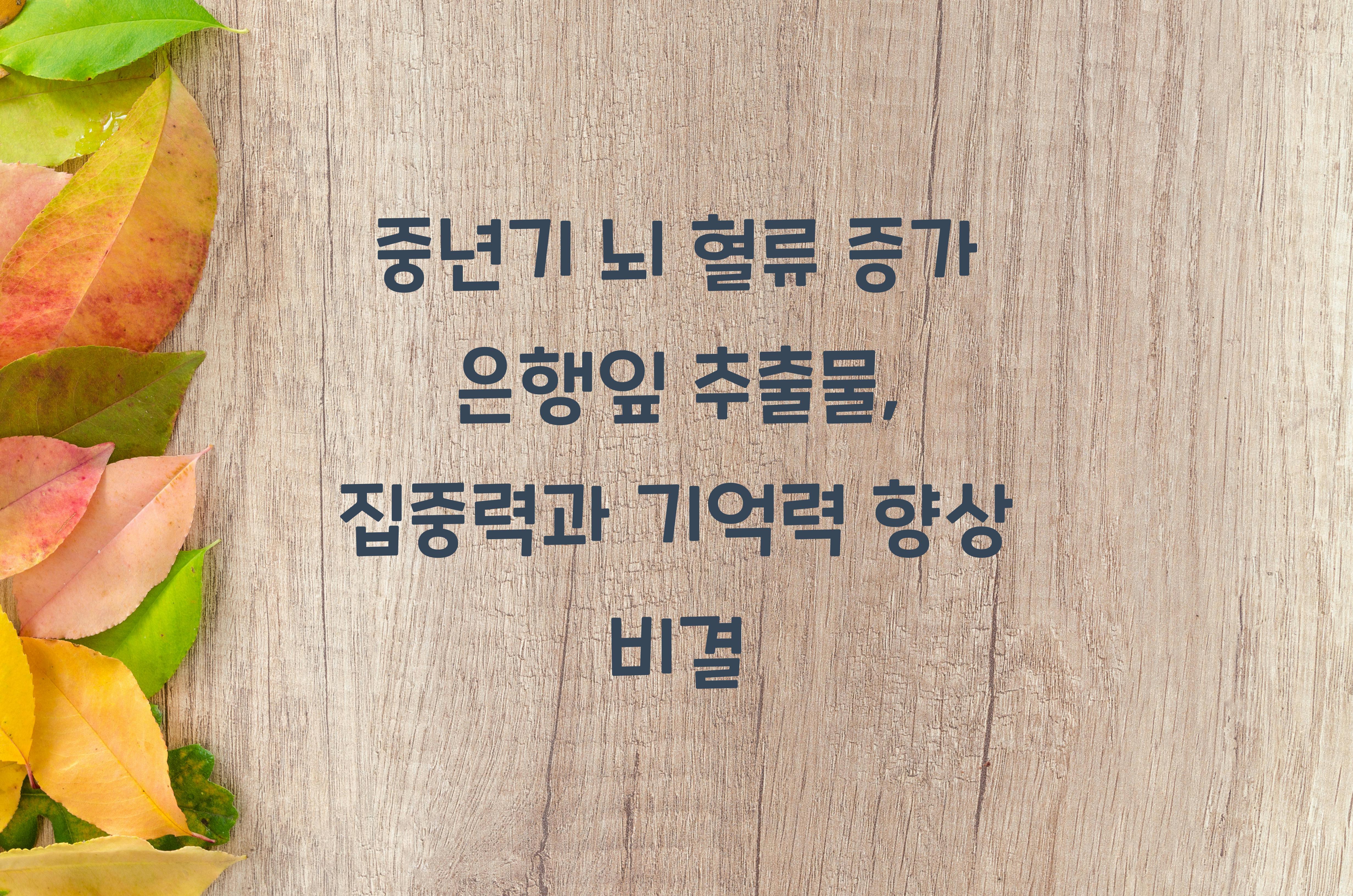 중년기 뇌 혈류 증가 은행잎 추출물