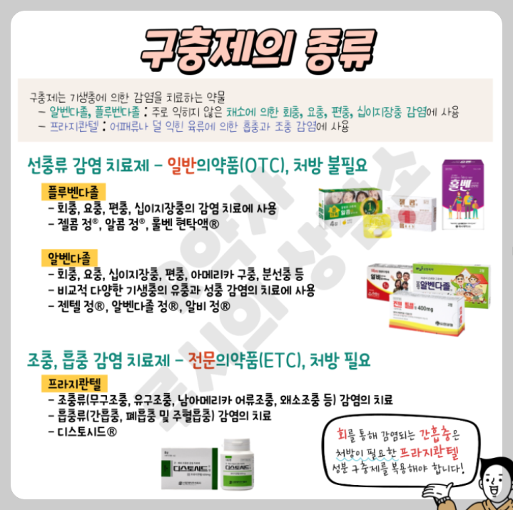 구충제 종류