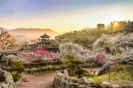 2025 광양매화축제 일정, 맛집, 먹거리 총정리