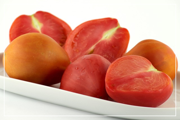 스테비아토마토 섭취 팁