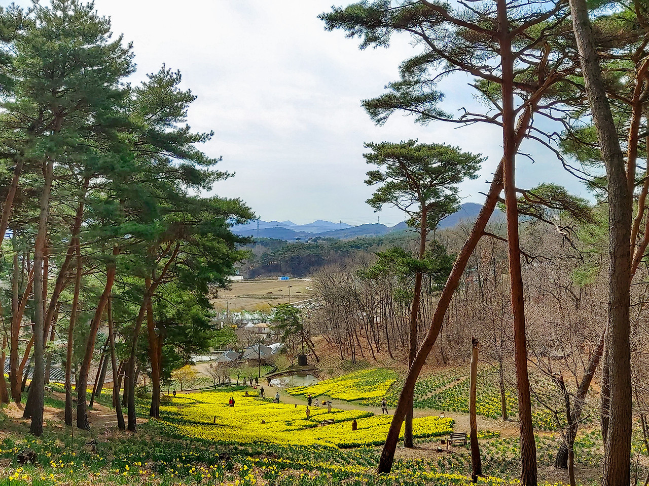 서산 살기 좋은 동네 vs 불편한 동네 — 실제 거주 기준으로 본 생활 체감 비교