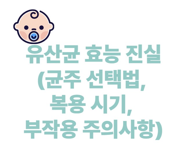 유산균 효능 진실